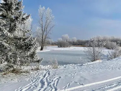 a snow covered field with a river and trees at chalet 5 Domaine de l'Archipel in Sorel