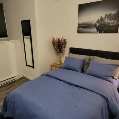 Comfortable condo in Montreal