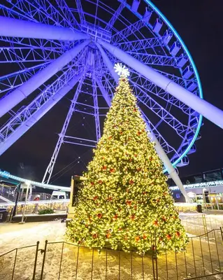 a christmas tree in front of a ferris wheel at Guy Concordia! Nightlife! Downtown's Essentials! Best City Spot! in Montréal