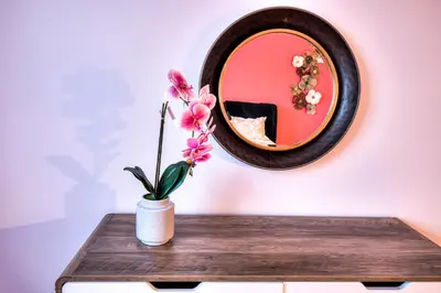a plant in a vase on a table in front of a mirror at Beautiful and Cozy 3BR in Montreal West Island in Montréal