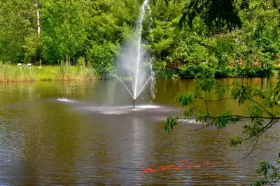 a fountain in the middle of a pond at Waterfront with Spa - Le Retro in Windsor