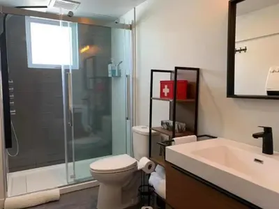 a bathroom with a shower and a toilet and a sink at Lake Access - Private Spa - Pool table - Rustique in Windsor