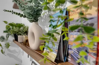 a shelf with vases and potted plants on it at Dreaming at the Base of the Mountain With Parking in Montréal