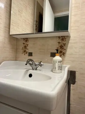 a bathroom sink with a bottle of soap on it at Stunning & Serene Downtown Apartment in Montréal