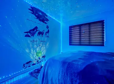 Gallery image of Refuge Doux & Cozy in Montréal