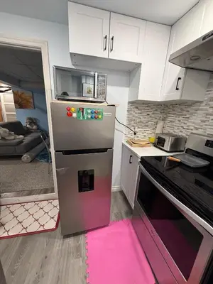 a kitchen with a stainless steel refrigerator with a pink rug at Appartement Cool à Longueuil Plan A in Longueuil