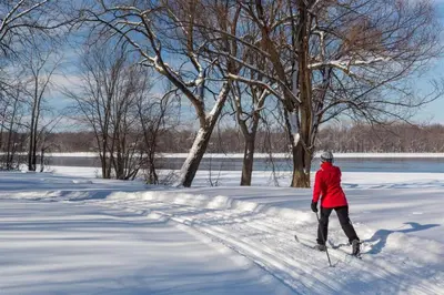 a person on skis in the snow near a lake at Free Parking! Montreal Adventure Home - Modern & Spacious Comforts! in Montréal