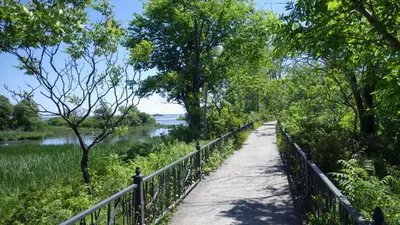 a path next to a fence next to a river at Riverside stay, 2 bedrooms, 1 office, free parking in Montréal