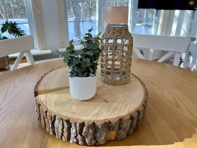 a table with a vase and a plant on a wooden table at Pur Nature Garthby et Sauna in Saint-Gérard