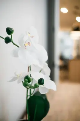 a group of white flowers in a green vase at Lynx spa detente Orford in Magog-Orford