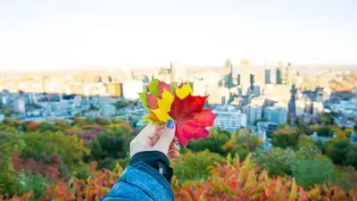 a person holding a colorful leaf in front of a city at Free Parking! Fast Wifi! Comfortable Apt for Montreal Explorers & Adventure! in Montréal