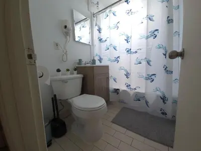 a bathroom with a toilet and a shower curtain with blue dolphins at Special Stays! Ultimate Destination for Montreal & West Island with Fast Wi-Fi in Montréal