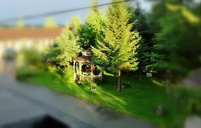 a house with a gazebo in a yard with trees at Motel Alexandrin in Saint-Georges