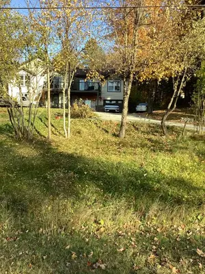 a yard with trees in front of a house at Bethel in Sherbrooke