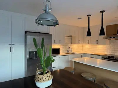 a kitchen with a potted plant on a table at Apartment with 3 bedrooms for long stays in Montréal