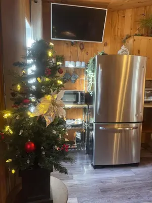 a kitchen with a christmas tree and a refrigerator at Le Richelieu in Saint-Bernard-de-Lacolle