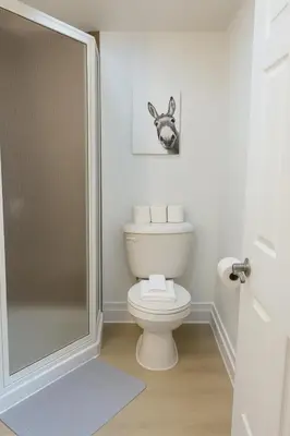a bathroom with a toilet with a picture of a donkey on the wall at Fonctionnal Escape in Trendy Plateau Montreal in Montréal