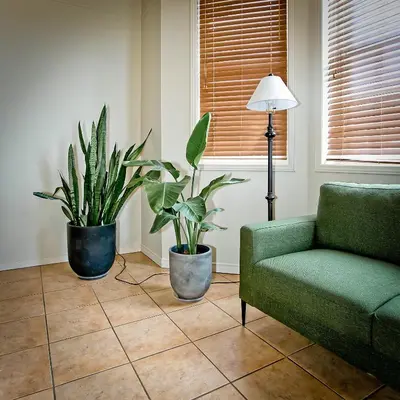 a living room with two potted plants and a green couch at Motel De La Gare Richmond in Richmond