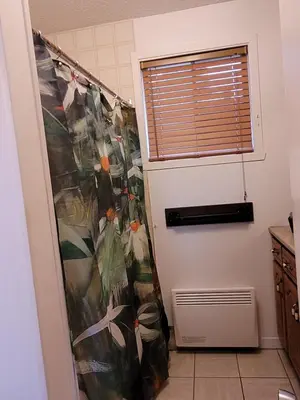 a shower curtain in a bathroom with a window at L'EMERAUDE sur la rivière Magog in Sherbrooke