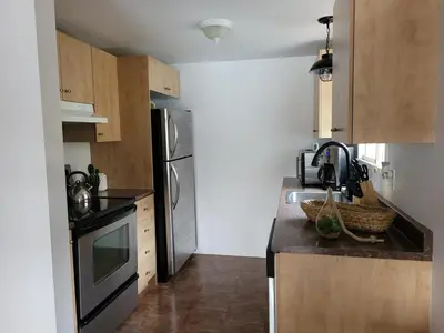 a kitchen with a sink and a refrigerator at L'EMERAUDE sur la rivière Magog in Sherbrooke