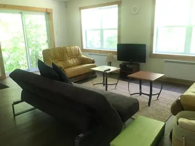 a living room with a couch and a tv at Charming chalet for rent next to Owl Head SKI in Potton
