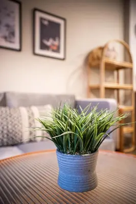 a blue vase with a plant on a table at 204 - Modern Cozy Suite with 2BR, Gym, Parking, DT & Airport in Montréal