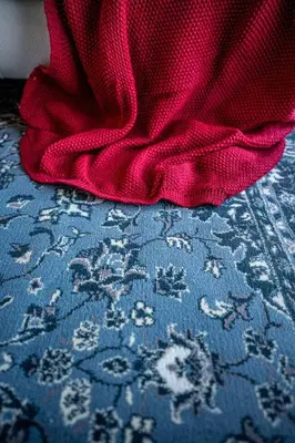 a red dress sitting on top of a blue rug at 117 - Spacious 2 King BD with Parking, Near DT & Airport in Montréal