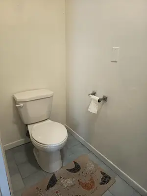 a bathroom with a white toilet and a rug at Iphigenie in Montréal