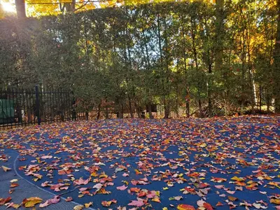 a carpet of leaves on the ground in a park at Motel châteauterrebonne in Terrebonne