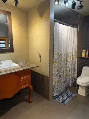 a bathroom with a shower and a sink and a toilet at Residence Havre d'abraham in Laval