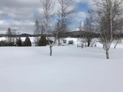 two trees in a snow covered field with trees at Lake & Game Room - Chalet Brothers and Sun in Disraeli