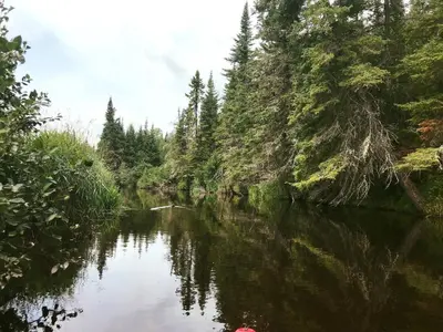 a river with trees on the side of it at Lake & Game Room - Chalet Brothers and Sun in Disraeli