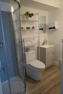 a bathroom with a toilet and a shower and a sink at Auberge Le Treehouse in Montréal