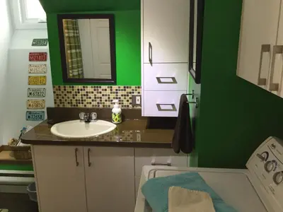 a bathroom with a sink and a green wall at La Maison des Éboulis in Victoriaville