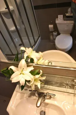 a bathroom with a sink with flowers on it at Hotel Abri du Voyageur in Montréal