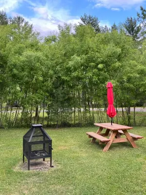 a picnic table and a grill with a red umbrella at Chalets du Domaine Yamaska in Bromont