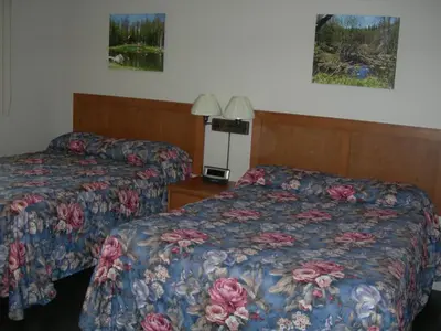 a hotel room with two beds in a room at Hotel Motel Arnold in Woburn