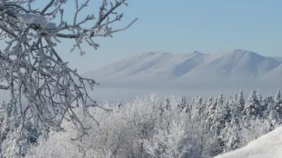 a snow covered forest with a mountain in the background at Aux Retrouvailles spa à l'année in Lac-Mégantic