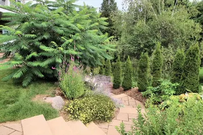 a garden with a large green tree and plants at Le 204 Champlain Bromont in Bromont