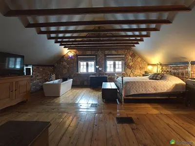 a bedroom with a bed and a sink and a tub at Maison du Mont-Mégantic spa à l'année in Lac-Mégantic