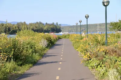 a path through a field of flowers next to the water at Maison du lac in Lac-Mégantic