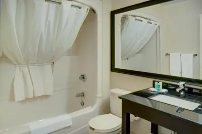 a bathroom with a toilet and a sink and a mirror at Comfort Inn South Shore in Boucherville
