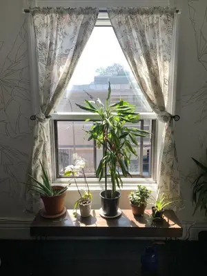a window with potted plants sitting on a table at Pensione Popolo in Montréal