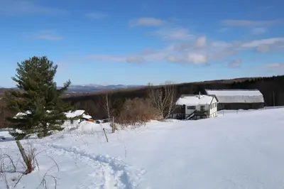 a snow covered field with a house and a tree at Auberge Schweizer in Sutton