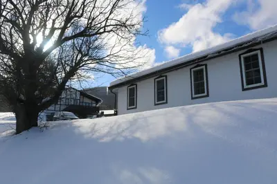 a snow covered yard with a house and a tree at Auberge Schweizer in Sutton
