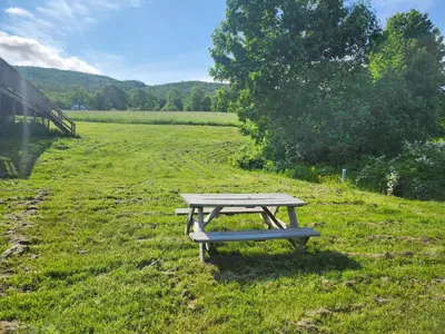 a picnic table sitting in the middle of a field at Auberge Schweizer in Sutton