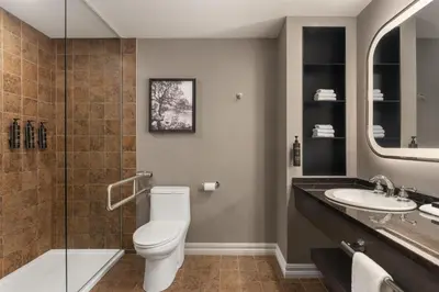 a bathroom with a toilet and a sink at Hotel Vallea Bromont, Tapestry Collection by Hilton in Bromont