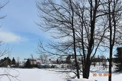a snow covered field with a tree in the foreground at Domaine Henri-Daze in Saint-Pierre-Baptiste