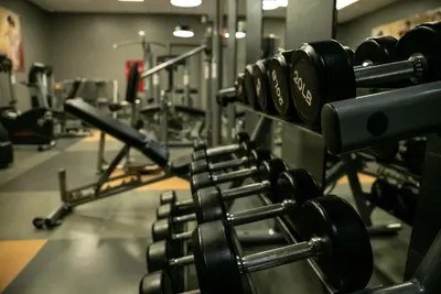 a row of dumbbells in a gym at Auberge Godefroy in Bécancour