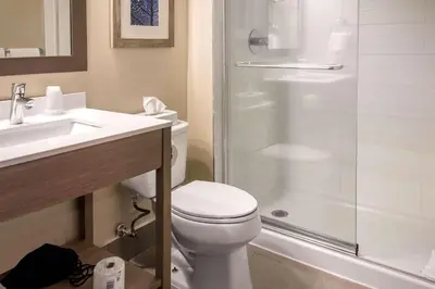 a bathroom with a toilet and a shower and a sink at Comfort Inn Aeroport in Dorval